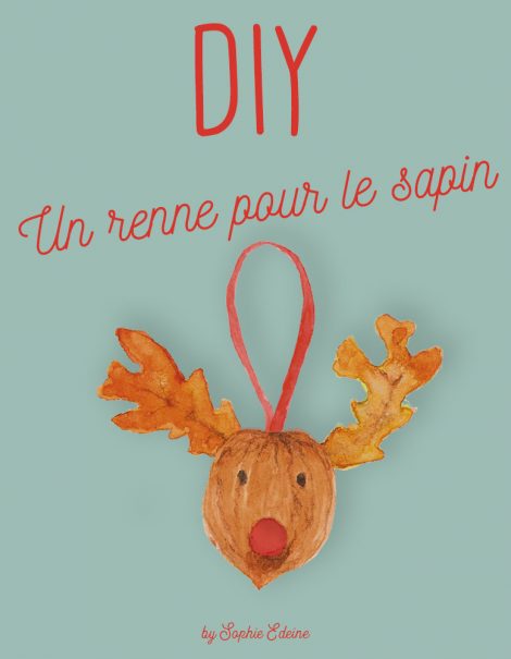 Idées créatives pour une déco de Noël avec des rennes
