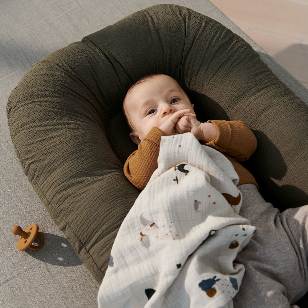 Couffin Baby Nest Edward - Rose - Liewood