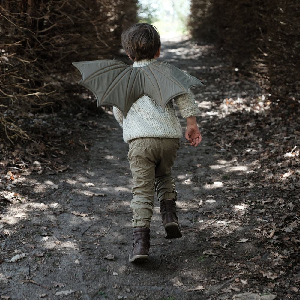 Ailes de Dragon - Fabelab