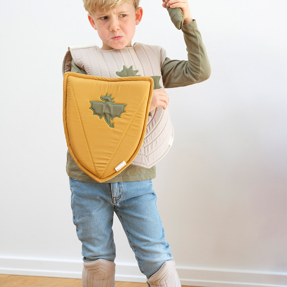 Déguisement Armure de Chevalier Fabelab