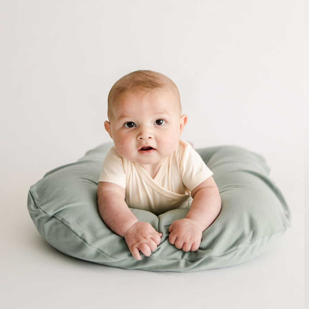 Housse pour Nid Bébé - Slate Snuggle Me Organic