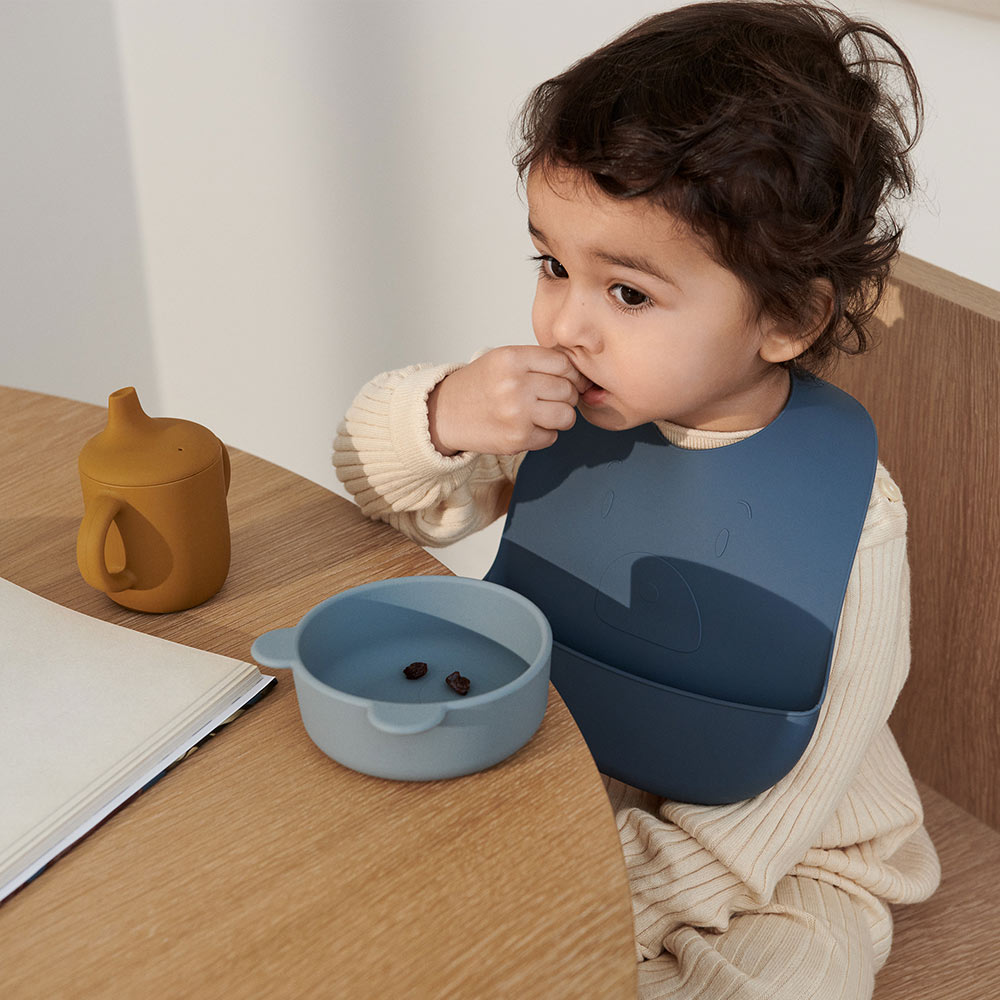 Pack Repas Mr Bear Connor - Rose Mix - Liewood